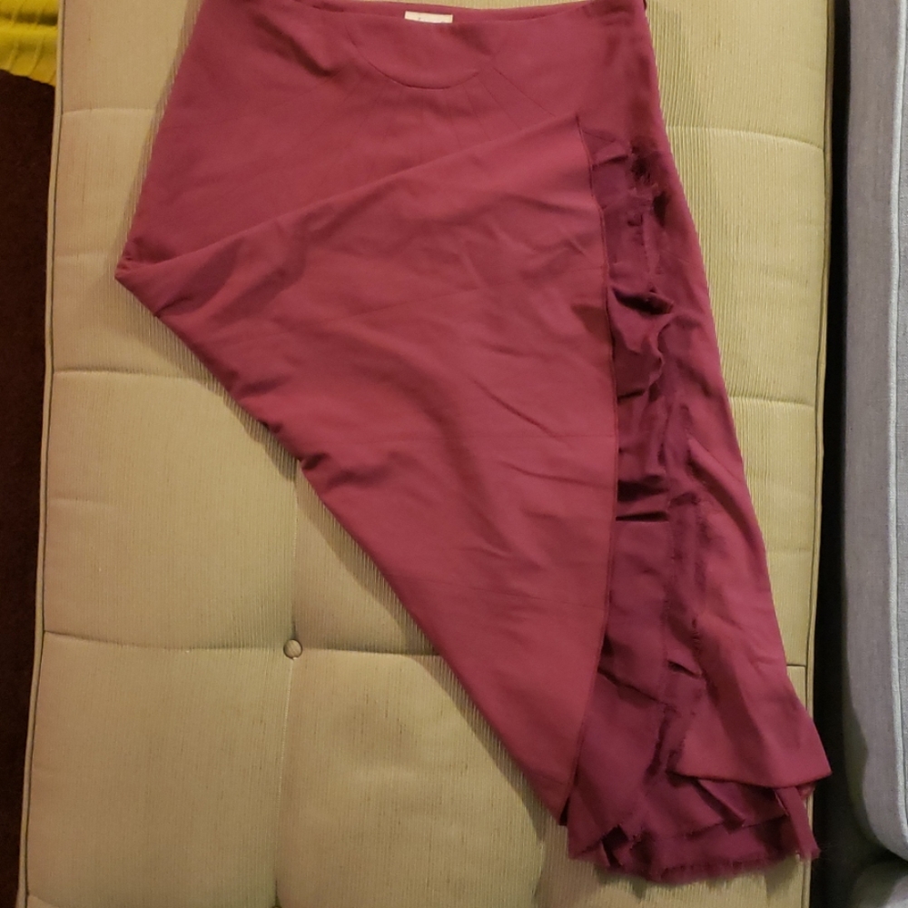 Anthropologie Skirt - Picture 4 of 8